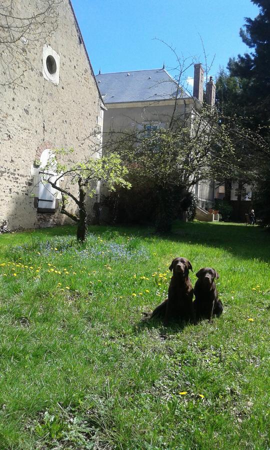 La Sauldre Bed & Breakfast Vailly-sur-Sauldre Exterior foto