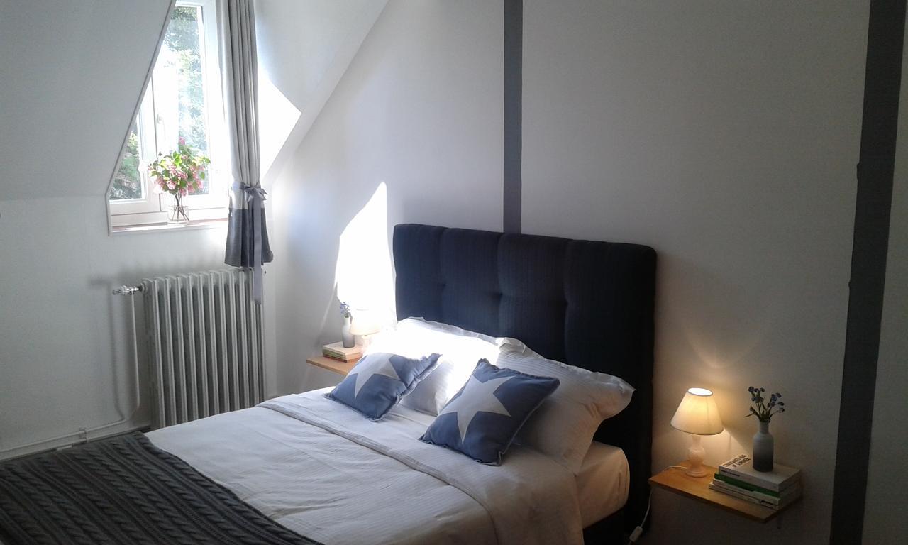 La Sauldre Bed & Breakfast Vailly-sur-Sauldre Exterior foto