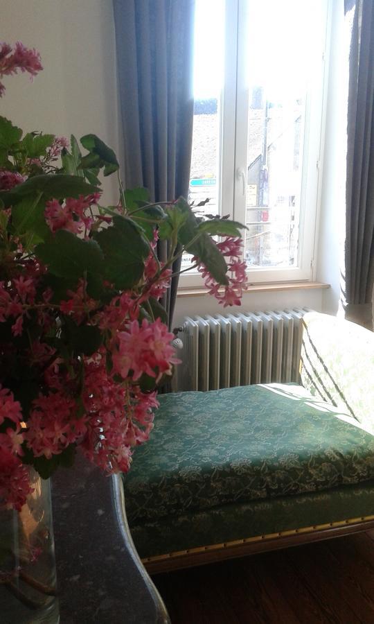 La Sauldre Bed & Breakfast Vailly-sur-Sauldre Exterior foto
